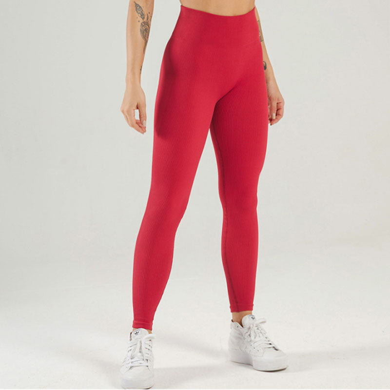 Sport Tights Woman Seamless Knit Yoga Pants